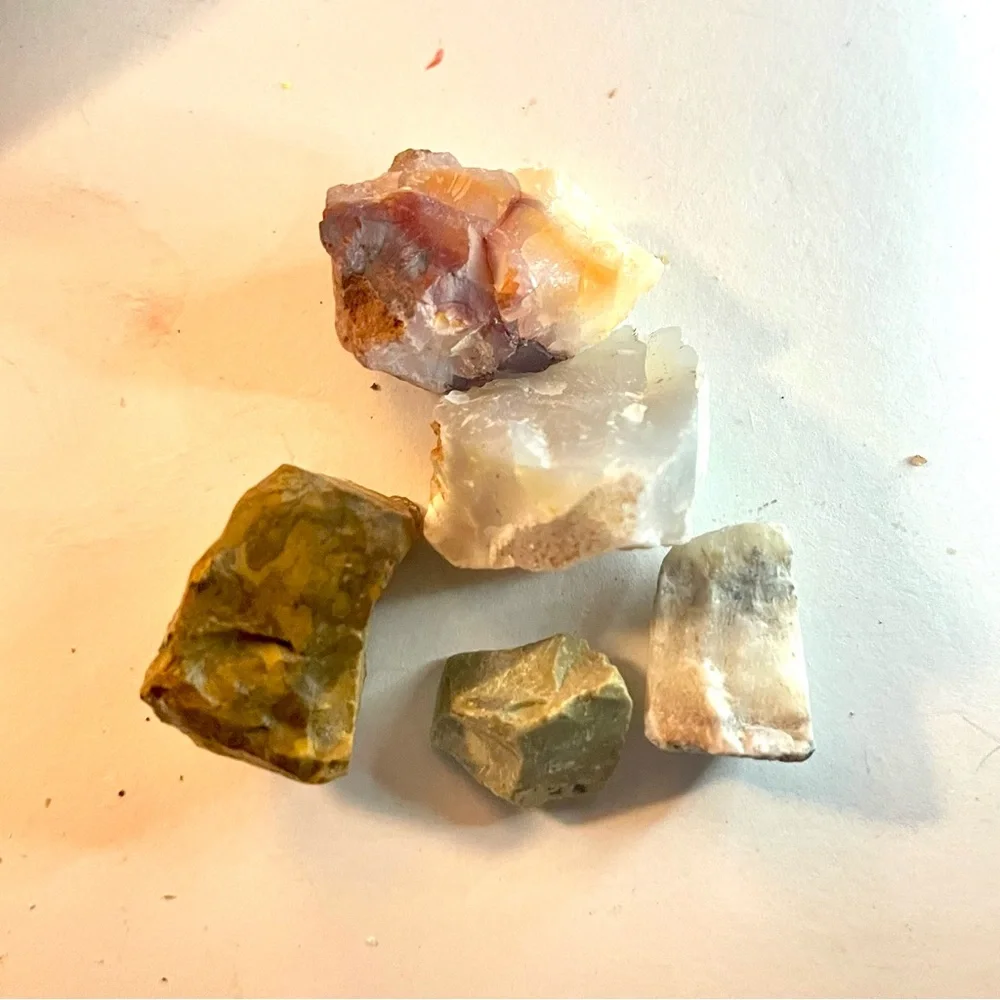 New Petrified Wood Agate Olive Opal Free Form Specimen Chunk 5 Piece 44.9g